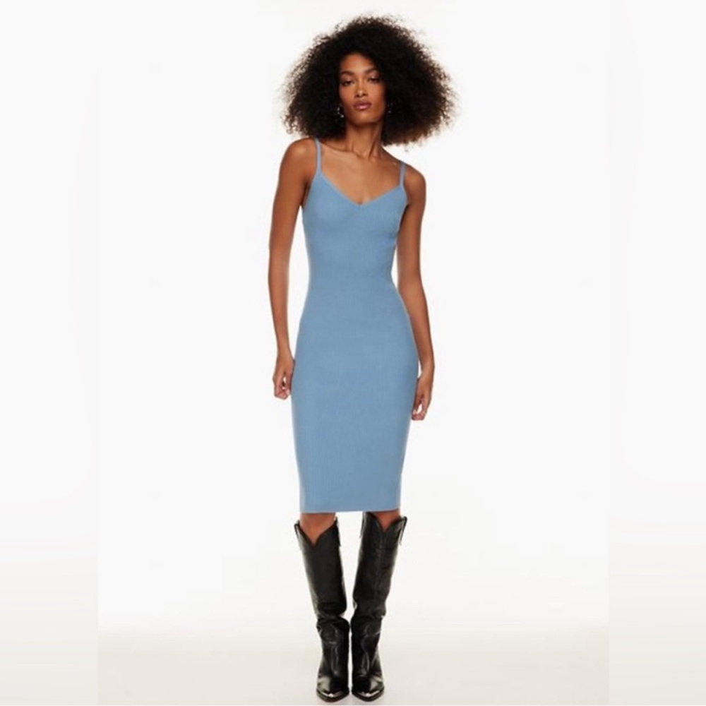 Aritzia Wilfred Waltz Dress XS